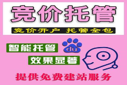 成功案例揭秘：百度竞价代运营如何助力企业腾飞